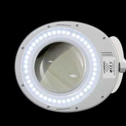 Lumeno LED-loeplamp serie 8213/8215 met instelbare helderheid, grijs